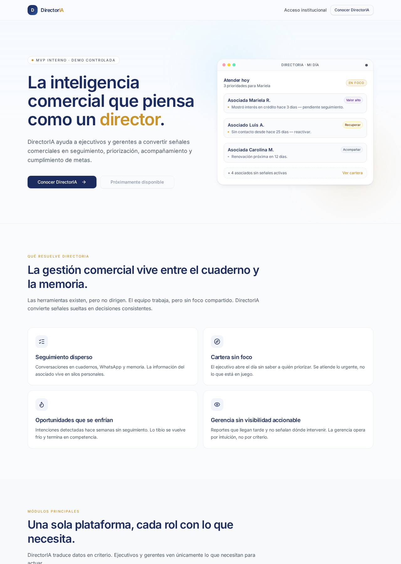 Vista previa de DirectorIA